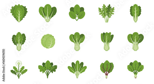 Leafy Greens and Salad Vegetables Flat Icons Set