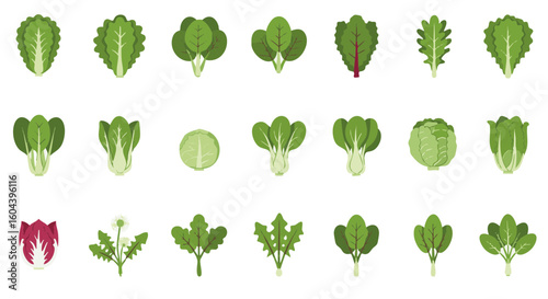 Leafy Greens and Salad Vegetables Flat Icons Set