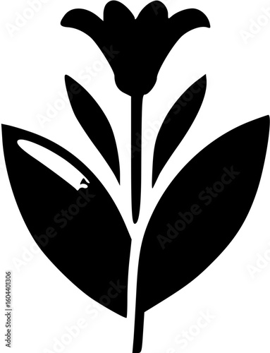 flower, floral, vector, nature, illustration, design, plant, spring, leaf, blossom, summer, decoration, flora, pattern, art, beauty, color, petal, element, card, flowers, ornament, bloom, tattoo, dais