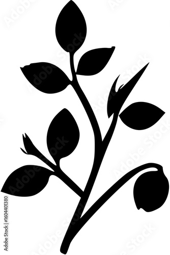 flower, floral, vector, nature, illustration, design, plant, spring, leaf, blossom, summer, decoration, flora, pattern, art, beauty, color, petal, element, card, flowers, ornament, bloom, tattoo, dais