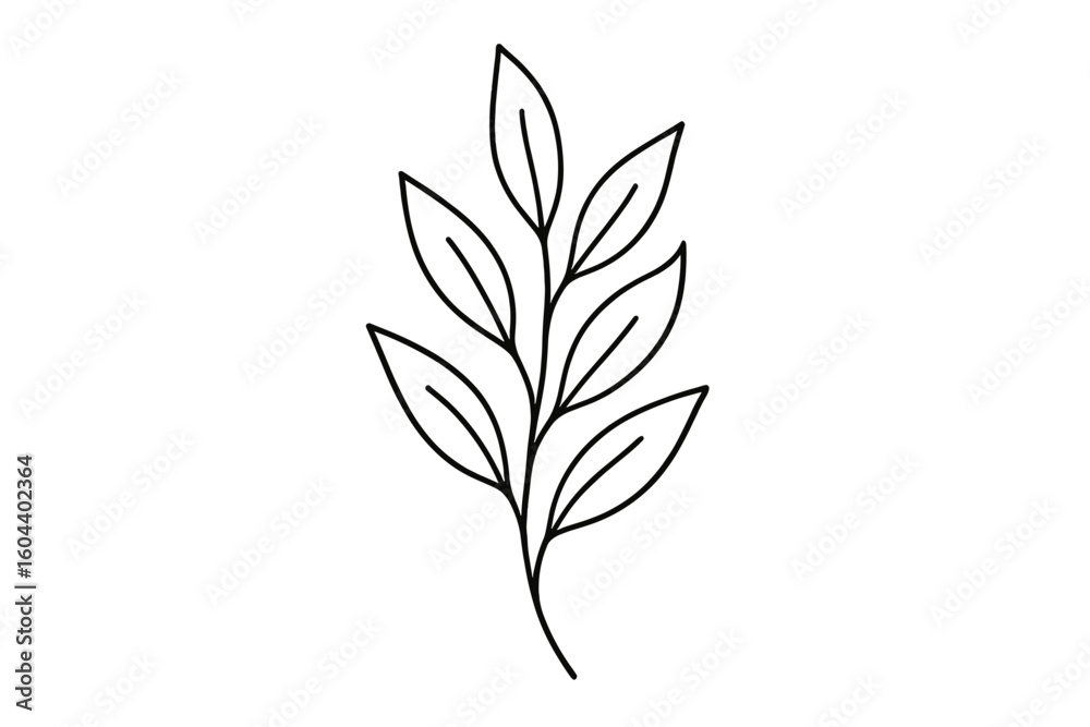 Minimalist botanical leaf line art. Hand drawn vector plant branch. Elegant floral foliage sketch for natural design. Organic, eco, simple icon for logo or wedding. Minimalist botanical leaf line art. Hand drawn vector plant branch. Elegant floral foliage sketch for natural design. Organic, eco, simple icon for logo or wedding.