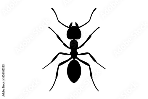 Ant silhouette icon simple vector logo. Insect pest control symbol. Black bug graphic illustration isolated on white background. Minimalist entomology wildlife design element.