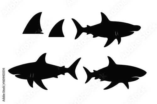 Shark silhouette vector set. Great white shark predator icon collection. Marine life ocean wildlife animal graphics. Isolated black sea creature shapes with dorsal fin.