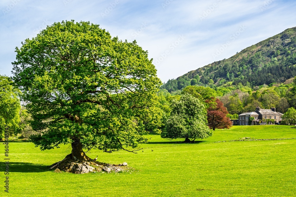 Naklejka premium Fell Foot Park and Windermere Lake, Lake District, Cumbria, England