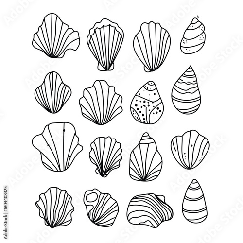 Set of hand-drawn sea shells on white background.