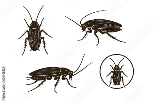 Cockroach Vector Illustration Set for Pest Control Branding, Hygiene Concepts, Exterminator Education, Insect Infestation Awareness, Cleanliness Campaigns, Transparent Background