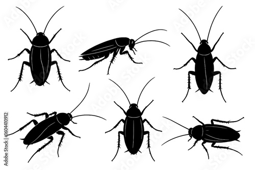 Cockroach silhouettes set. Detailed cockroach vector illustrations in various poses. Insect, bug, pest icon collection isolated on white background. Pest control graphic design.