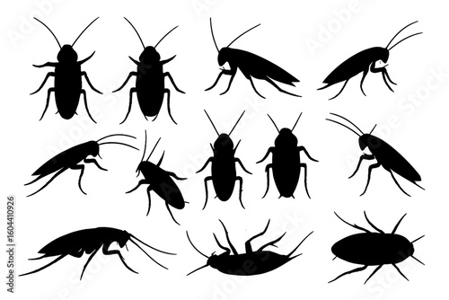 Cockroach silhouettes vector set of crawling and flying roaches in varied poses, pest control icons for exterminator ads, entomology infographic creepy insect illustrations