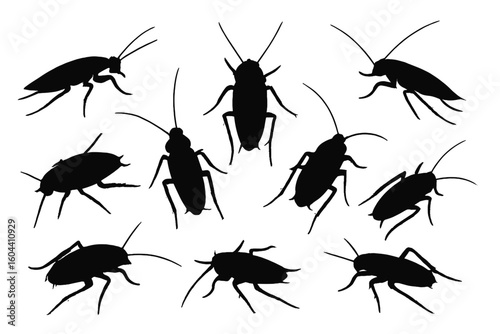Cockroach Silhouette Vector Collection, Multiple Cockroach Species, Varied Insect Poses and Angles, Pest Control Icons, Entomology Study, Black Isolated Insect Shapes, Editable Graphic Illustration