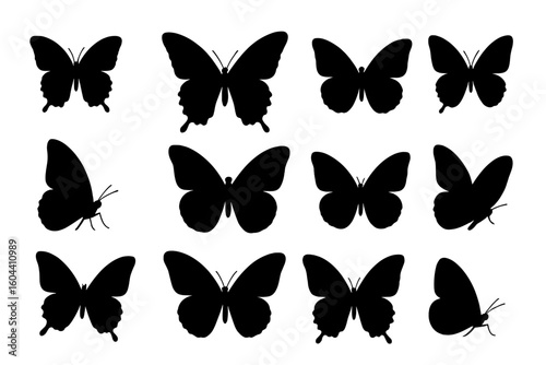 Butterfly silhouette vector set. Collection of black flying insect icons. Diverse shapes of butterflies in resting and flight positions. Isolated nature design elements.