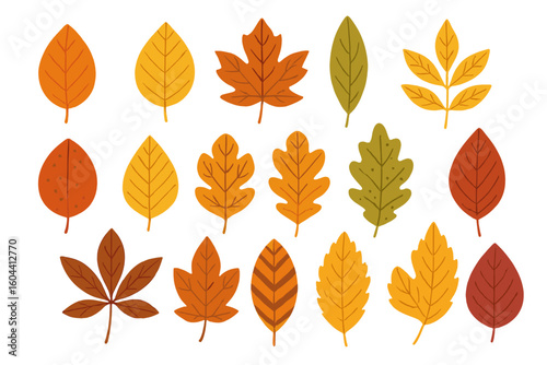 Collection of autumn leaves vector illustrations. Set of diverse fall foliage shapes and patterns. Orange, yellow, red seasonal icons for nature themed design projects.