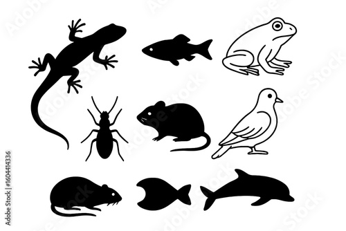 Animal collection with silhouette and outline styles. Vector set of fauna icons: lizard, fish, frog, insect, mouse, bird, dolphin. Mammal, reptile, amphibian graphic.