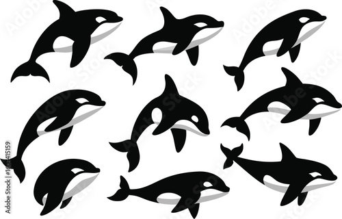vector set of dolphins silhouettes