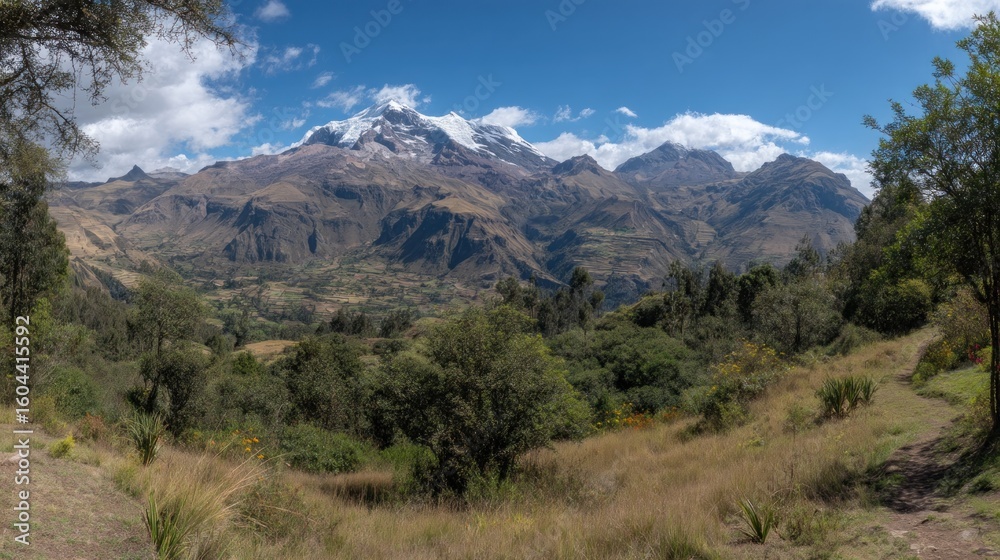 Mountainous valley landscape with snow-capped peak.