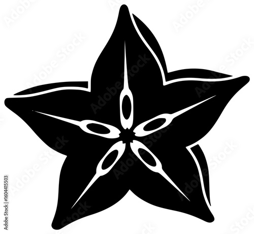 Black Silhouette Vector Icon Logo Illustration of Starfruit Glowing in Rainforest Moonlight with Ninja Constellation Hummingbird and Stardust Orbit in Tropical Cosmic Surreal Nature Scene