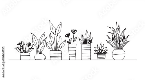 A single continuous line drawing featuring house plants in pots. Succulents and lovely flowers for an apartment in a straightforward linear style. Editable stroke vector illustration.

