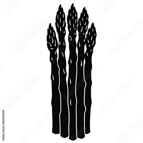 Nutritionist element isolated asparagus on white background