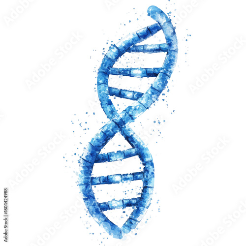 Blue DNA double helix isolated on a white background transparent, alpha background png