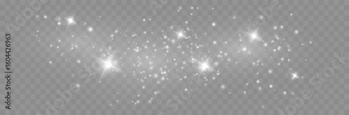 Glitter particles with transparency. Vector starry cloud with dust. Shining stars