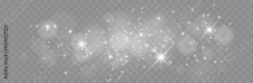 Glitter particles with transparency. Vector starry cloud with dust. Shining stars