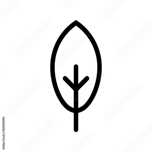 spinach line icon