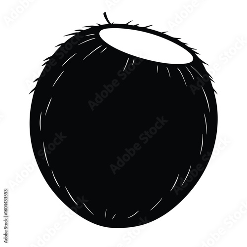Nutritionist element isolated coconut on white background