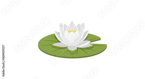 Elegant white water lily blossom with yellow center sitting on a vibrant green lily pad serene floral botanical simplicity of nature beauty grace
