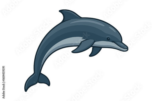 Jumping dolphin vector illustration. Cute cartoon aquatic mammal from the ocean. Marine life wildlife graphic. Sea animal symbol, icon, or logo for aquarium or zoo.