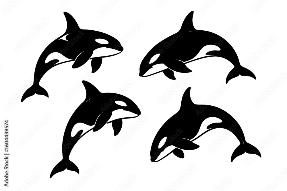 Naklejka premium Dynamic orca silhouette vector set featuring four black killer whale shapes in various action poses isolated on white, ideal for ocean wildlife, marine life, educational, and artwork themes