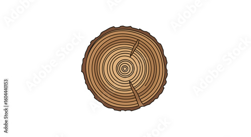 Graphic Cross Section of a Tree Trunk Showing Growth Rings, Natural Textures and Woodgrain Patterns Depicting Age and Forestry