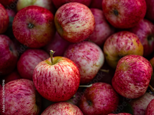 Shiny Red Apples piled up in a fruit bin