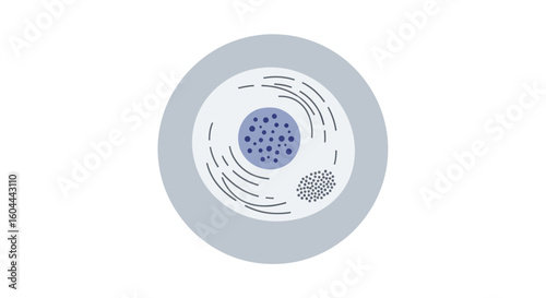 Simplified cell structure illustration for educational or scientific designs and representations of cellular biology and analysis