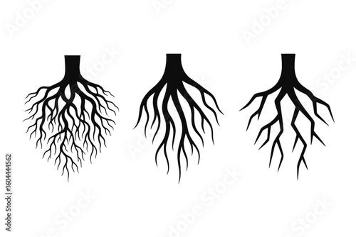 Tree root vector illustration set. Black silhouette icons of underground plant roots. Concept of nature, growth, and foundation. Organic botanical graphic element collection isolated.