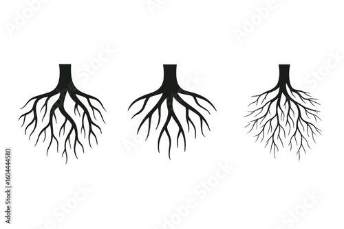 Tree root vector icon collection. Black silhouette illustration of roots underground. Concept of growth, nature, life, foundation, stability, connection, and family tree.