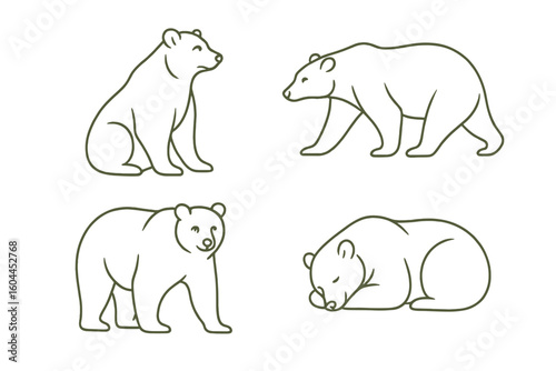Minimalist bear line art vector set featuring sitting walking standing sleeping grizzly silhouettes, elegant single stroke outline illustration for wildlife logos, kids decor, prints