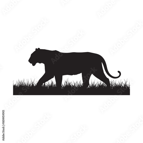 Silhouette of a powerful tiger walking majestically through tall grass in a safari landscape