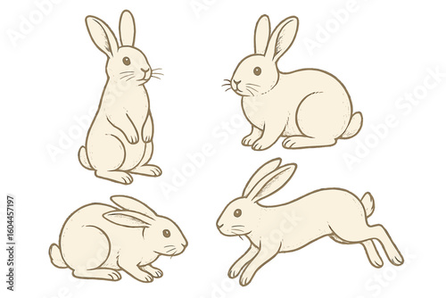 Vintage sepia rabbit bunny hare illustration set with four poses – standing, sitting, crouching, leaping – hand drawn sketch style vector for Easter, spring, nursery designs