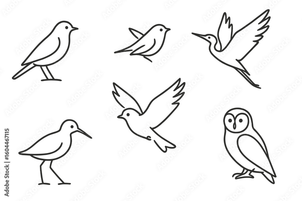 Bird line icon set. Minimalist animal outline sketches. Collection of various simple bird species in dynamic poses. Modern vector logo elements for nature concepts. Bird line icon set. Minimalist animal outline sketches. Collection of various simple bird species in dynamic poses. Modern vector logo elements for nature concepts.