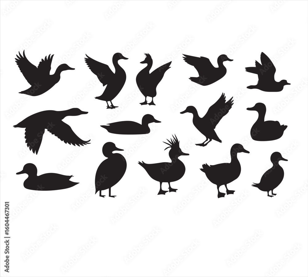 Obraz premium set of silhouettes of birds