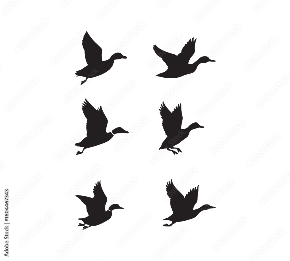 Fototapeta premium vector silhouettes of birds