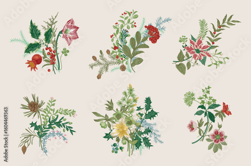 Winter season. Set of plant compositions. 
Decor for celebrating Christmas and New Year. Vector vintage illustration. Colorful