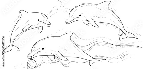 dolphin with a ball on its nose, black and white image, simple and elegant, line art style, vector illustration