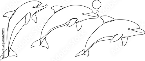 dolphin with a ball on its nose, black and white image, simple and elegant, line art style, vector illustration