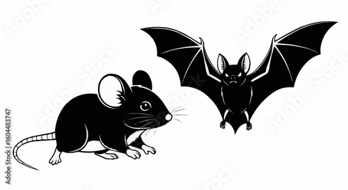 Rat and Bat