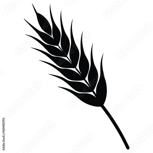 Nutritionist element isolated wheat grain on white background