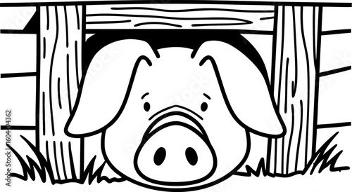 Curious pig peeking through wooden fence farm animal with snout, ears, and playful expression in rural livestock environment