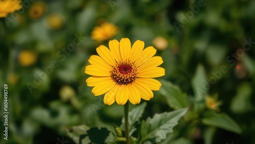 Wallpaper Mural Yellow zinnia blossom captured up close amidst garden flowers Torontodigital.ca