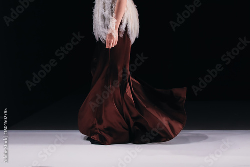 Obraz na plátně Elegant women fashion, brown silk dress and white blouse with feathers, chic clothes outfit on black background