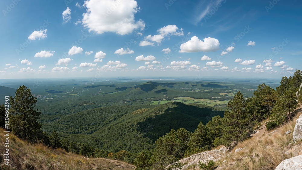 Fototapeta premium Panoramic View of Verdant Terrain from a Mountain Summit
