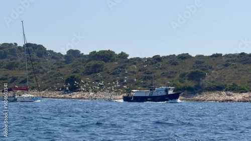 Fishing boat near the Croatian coast surrounded by a flock of seagulls above the sea. Traditional fishing, coastal life and maritime nature in the Adriatic.